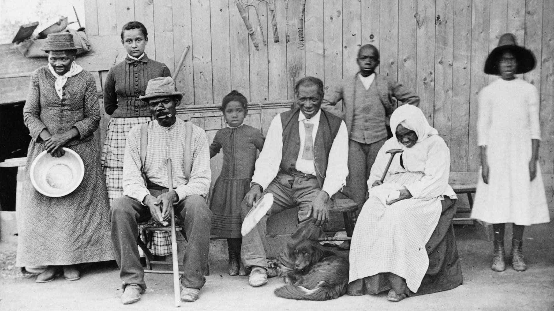 Harriet Tubman, freed slaves