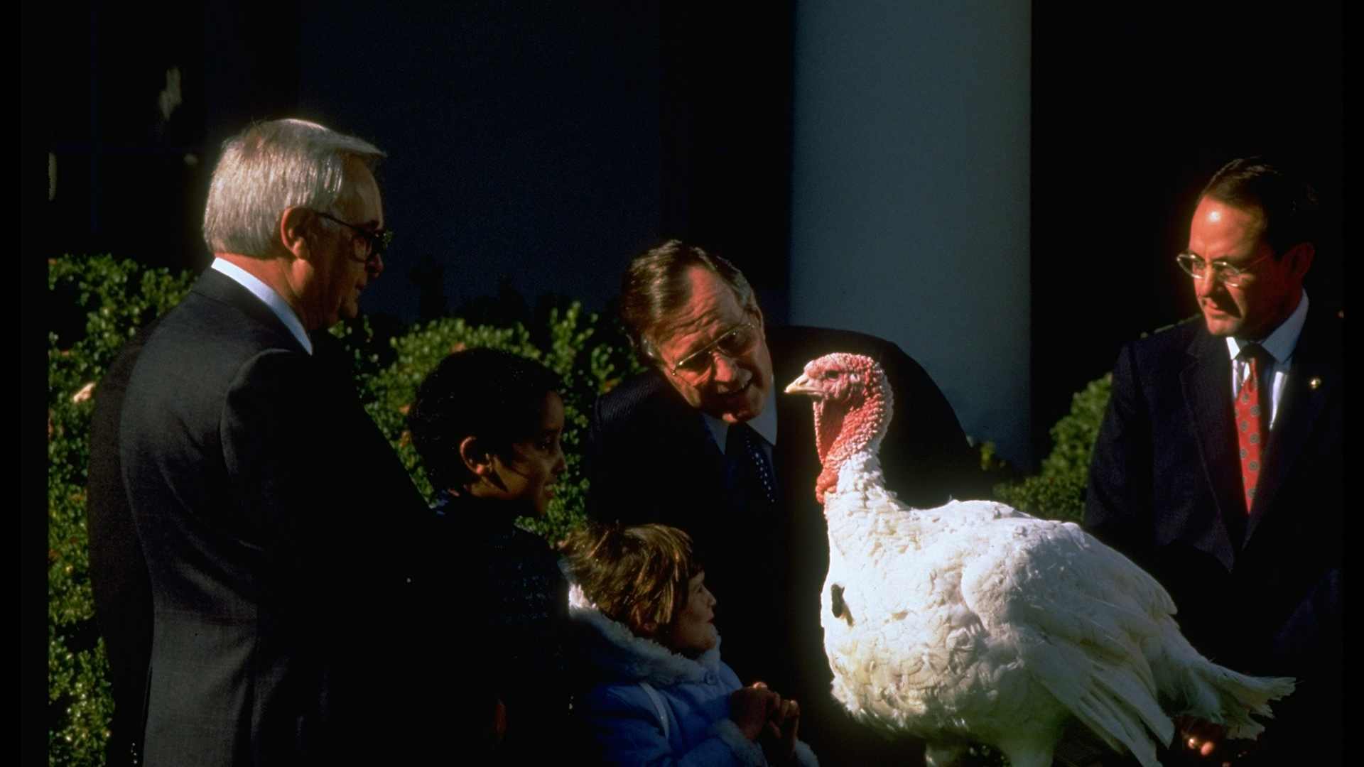 President George H.W. Bush (center) bending to admire a Thanksgiving bird, November 1989.  (Photo by Diana Walker/Getty Images)