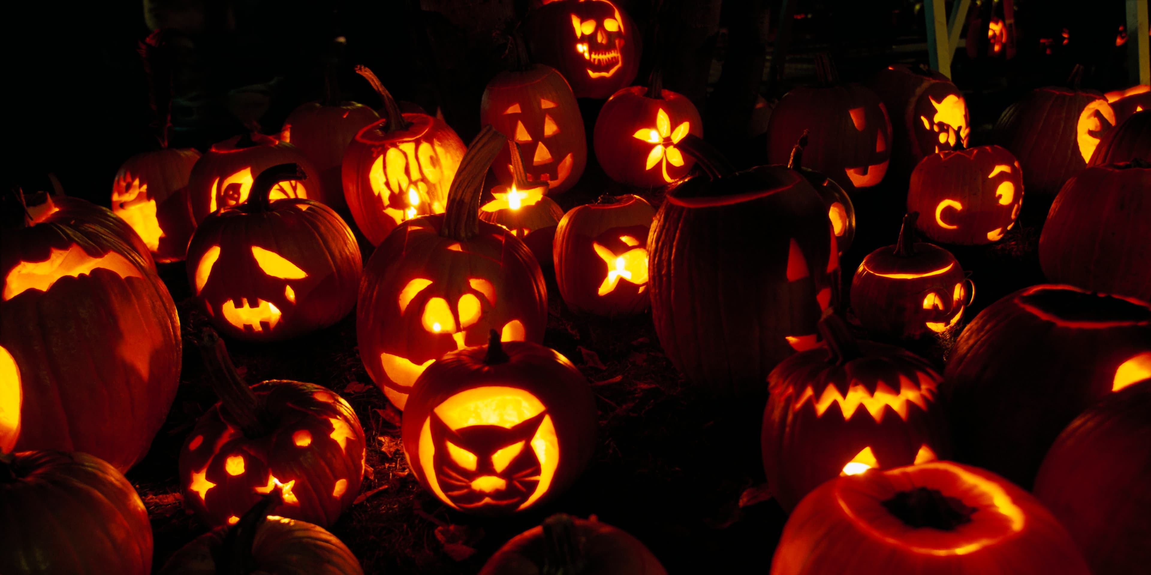 Carved Pumpkins at a Festival