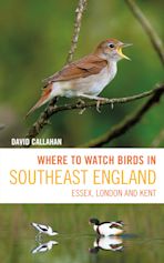Where to Watch Birds in Southeast England cover
