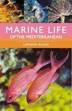 Marine Life of the Mediterranean cover