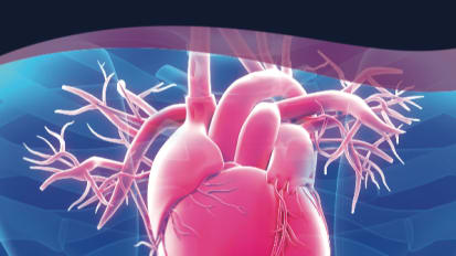 Aortic Valve Replacement: Ross Procedure