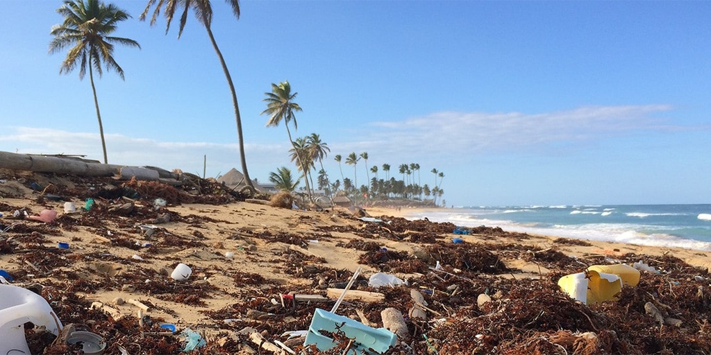 Regularly clean up an area