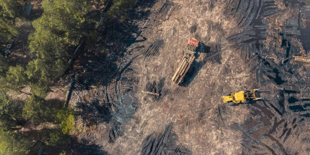 Be wary of palm oil