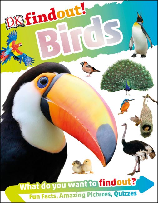 DKfindout! Birds Flexibound cover of DKfindout! Birds
