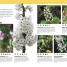 The Bee Book - thumbnail of spread image 2 Thumbnail image of The Bee Book - 2