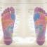 Reflexology - thumbnail of spread image 1 Thumbnail image of Reflexology - 1