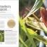 Incredible Edibles - thumbnail of spread image 3 Thumbnail image of Incredible Edibles - 3