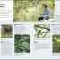 RHS How to Create your Garden - thumbnail of spread image 1 Thumbnail image of RHS How to Create your Garden - 1