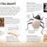 Insects and Spiders - thumbnail of spread image 3 Thumbnail image of Insects and Spiders - 3