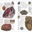 Rocks & Minerals - thumbnail of spread image 4 Thumbnail image of Rocks & Minerals - 4