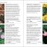 RHS Plants for Places - thumbnail of spread image 4 Thumbnail image of RHS Plants for Places - 4