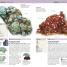 Nature Guide Rocks and Minerals - thumbnail of spread image 3 Thumbnail image of Nature Guide Rocks and Minerals - 3