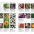 RHS What Plant Where Encyclopedia - thumbnail of spread image 3 Thumbnail image of RHS What Plant Where Encyclopedia - 3