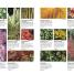 RHS What Plant Where Encyclopedia - thumbnail of spread image 4 Thumbnail image of RHS What Plant Where Encyclopedia - 4