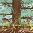 The Magic and Mystery of Trees - thumbnail of spread image 2 Thumbnail image of The Magic and Mystery of Trees - 2