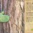 The Magic and Mystery of Trees - thumbnail of spread image 5 Thumbnail image of The Magic and Mystery of Trees - 5