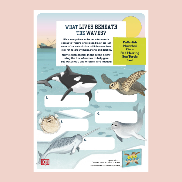 The Sea Book Activity Pack