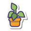 Growth Team