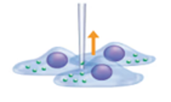 Subcellular organelle sampling