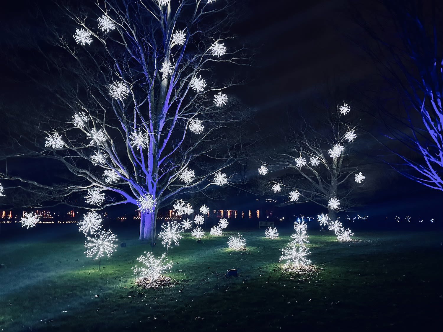 Magical winter lights on trees at Kew Gardens, a festive Gay London attraction during the Christmas season.