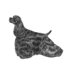 Cocker Spaniel