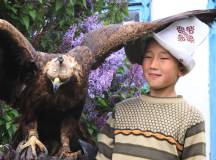 Mongolia: Steppes, Deserts & Nomads – Eagle Festival