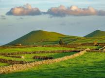 teircera-island-field