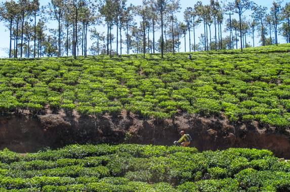 Southern India Coast to Coast Ride