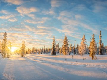 Finland