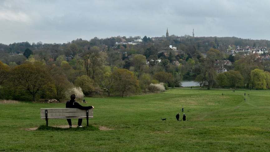 Hampstead Heath