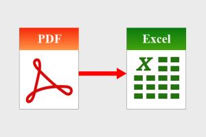 Portfolio for PDF to Excel Conversion | Convert a PDF