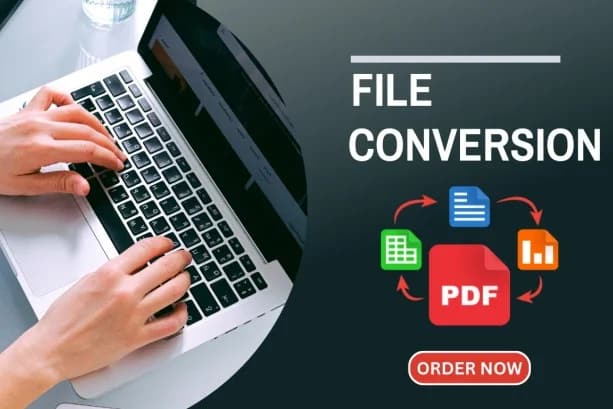 Portfolio for Excel to PDF Conversion
