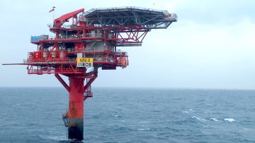INEOS - Nini (1).jpg