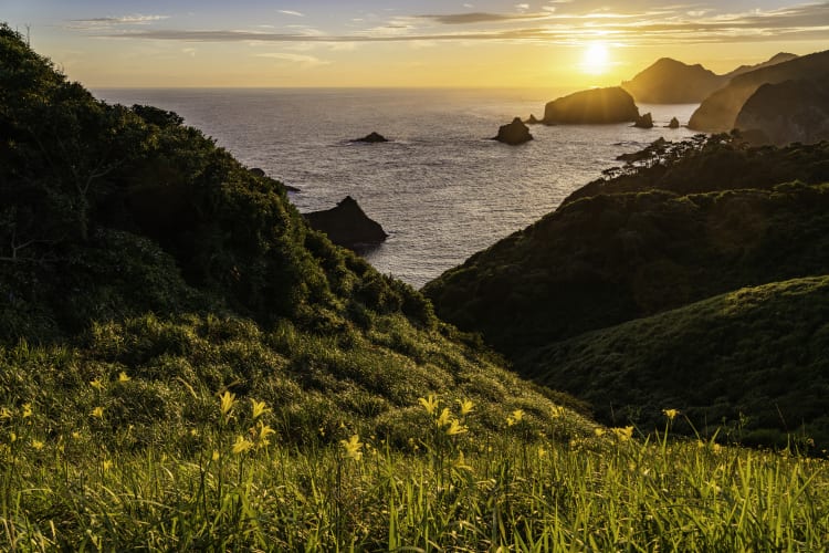 Driving in Japan's National Parks