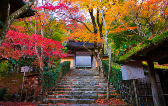 ohara & around