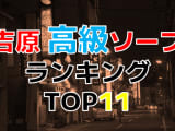 東京・吉原の高級ソープ・人気ランキングTOP11!【2025年最新】のサムネイル画像