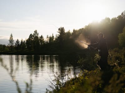 Mitternachtssonne Sommer Angelausflug in Ivalo