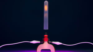 Ignition