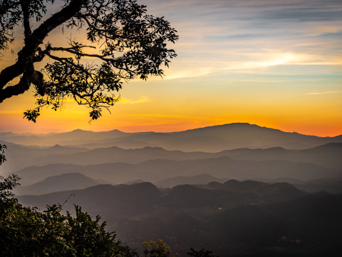 Chiang Mai