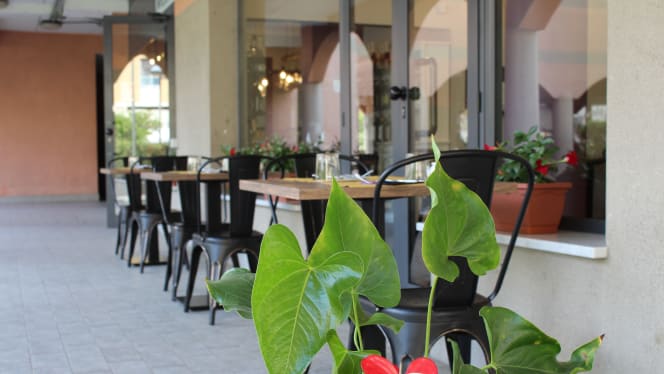 Pesto DiVino - 6