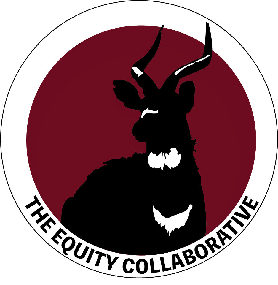 The Equity Collaborative Logo